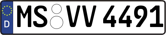 MS-VV4491