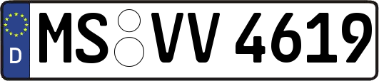 MS-VV4619