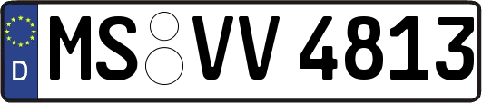 MS-VV4813