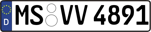 MS-VV4891