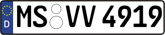 MS-VV4919