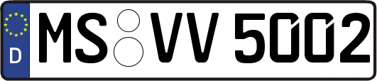 MS-VV5002