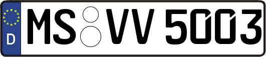 MS-VV5003