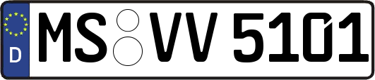 MS-VV5101