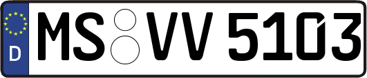 MS-VV5103