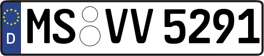 MS-VV5291