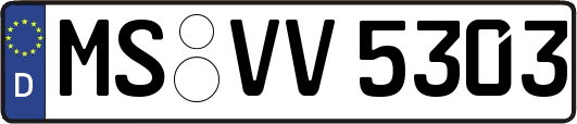 MS-VV5303