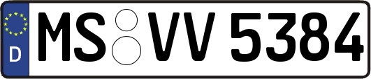 MS-VV5384