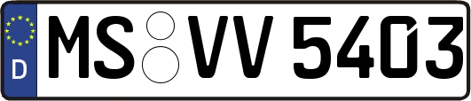 MS-VV5403