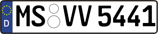MS-VV5441