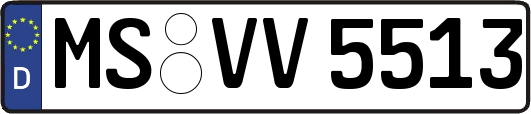 MS-VV5513