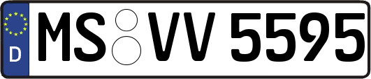 MS-VV5595
