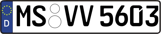 MS-VV5603