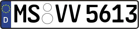 MS-VV5613