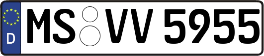 MS-VV5955
