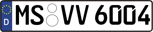 MS-VV6004