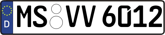 MS-VV6012