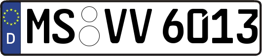 MS-VV6013