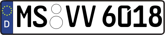 MS-VV6018