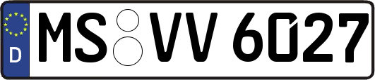 MS-VV6027