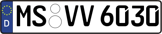 MS-VV6030