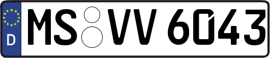 MS-VV6043