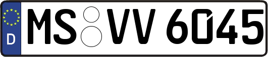 MS-VV6045