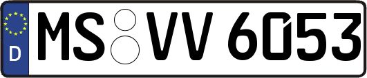 MS-VV6053