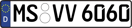 MS-VV6060