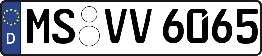 MS-VV6065