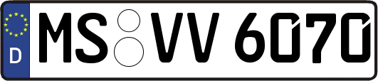 MS-VV6070