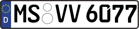 MS-VV6077