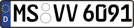 MS-VV6091