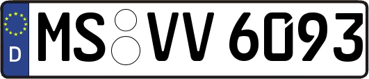 MS-VV6093