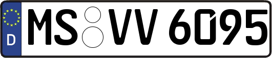 MS-VV6095