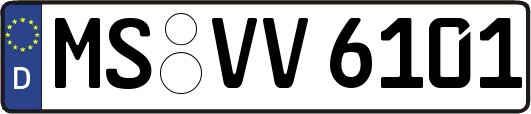 MS-VV6101