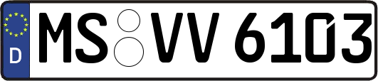 MS-VV6103