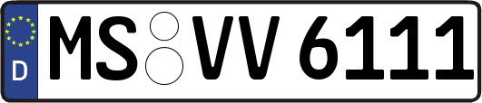 MS-VV6111
