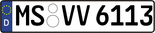 MS-VV6113