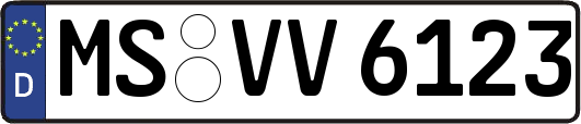 MS-VV6123
