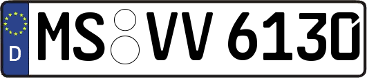 MS-VV6130