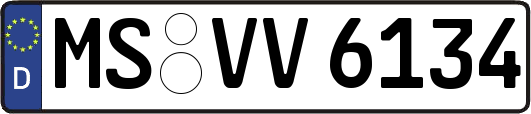 MS-VV6134