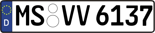 MS-VV6137