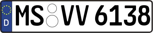 MS-VV6138