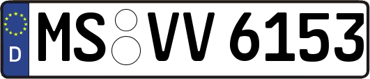 MS-VV6153