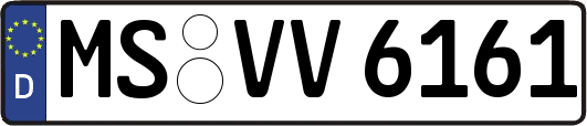 MS-VV6161