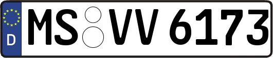 MS-VV6173