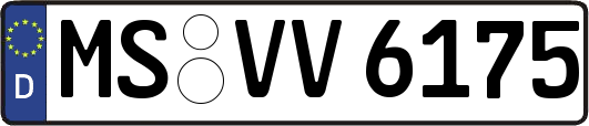 MS-VV6175