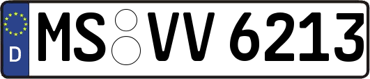 MS-VV6213