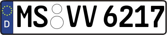 MS-VV6217